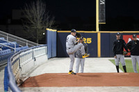 vs Nicholls