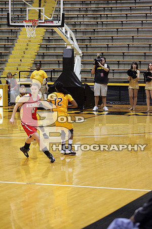 HT7Q1733