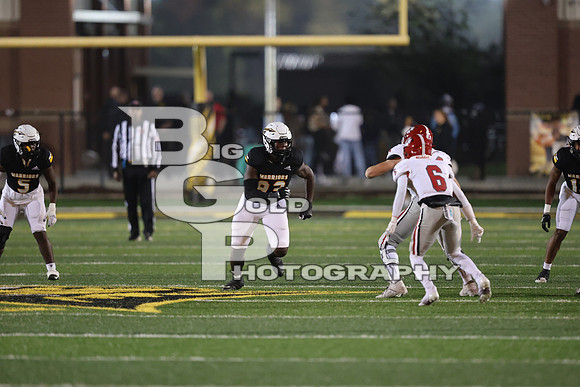 BG1_6274