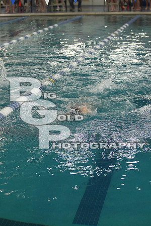 BGP_7260