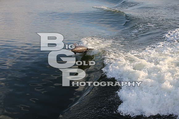 4BGP3617