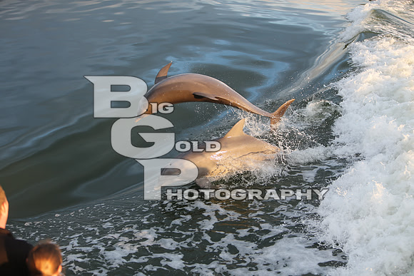 4BGP3840