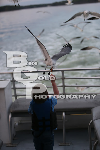 4BGP4129