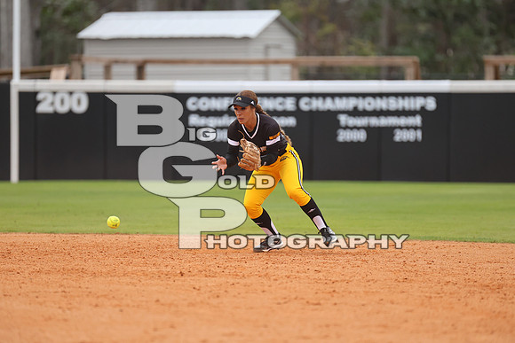 BG1_8224
