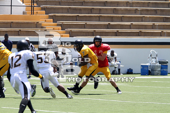 IMG_7554