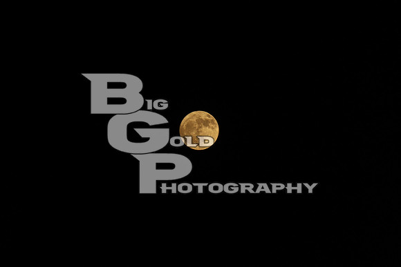 3BGP0608