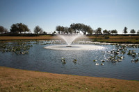 BGP_0938