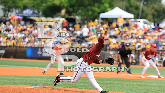 0T0A8263