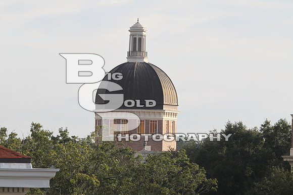 BGP_1421