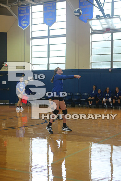 4BGP0204