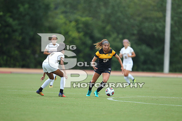 3BGP8196