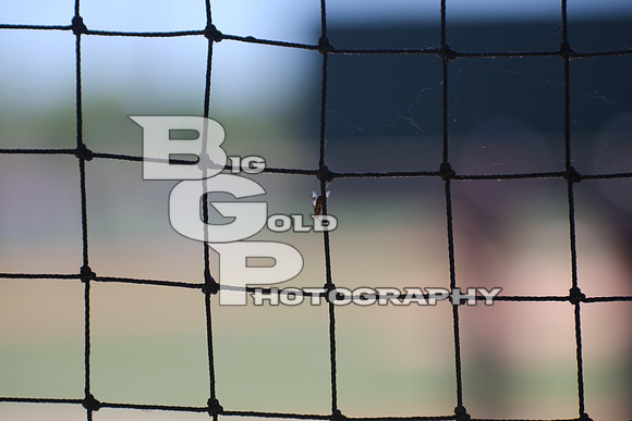 4BGP7009