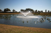 BGP_0939