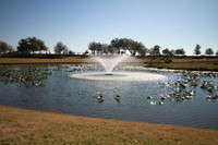 BGP_0941