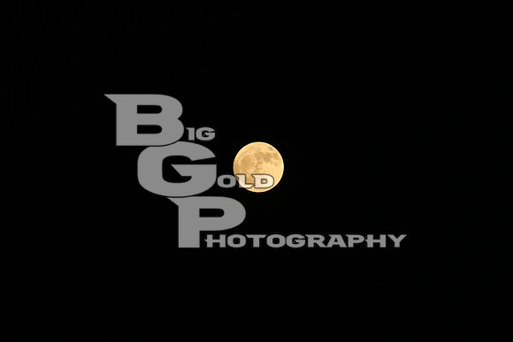 3BGP0610
